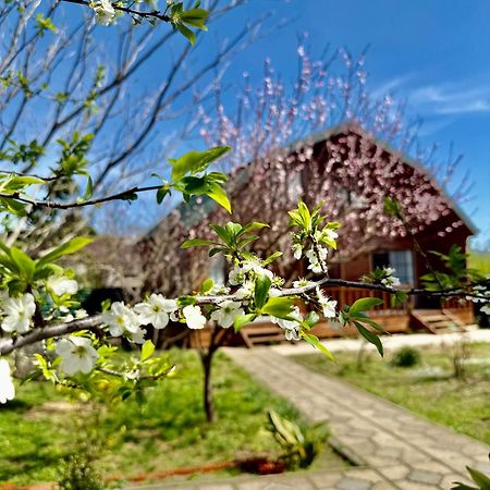 Sweet Village تسكالتوبو المظهر الخارجي الصورة