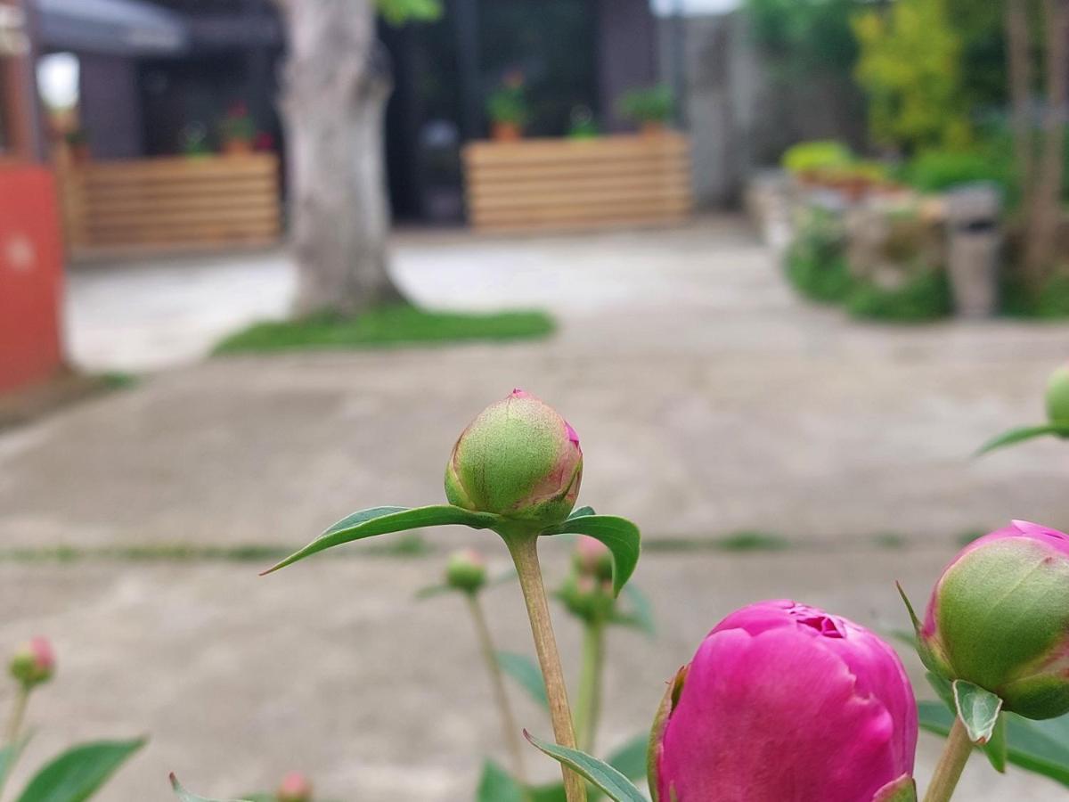 Sweet Village تسكالتوبو المظهر الخارجي الصورة