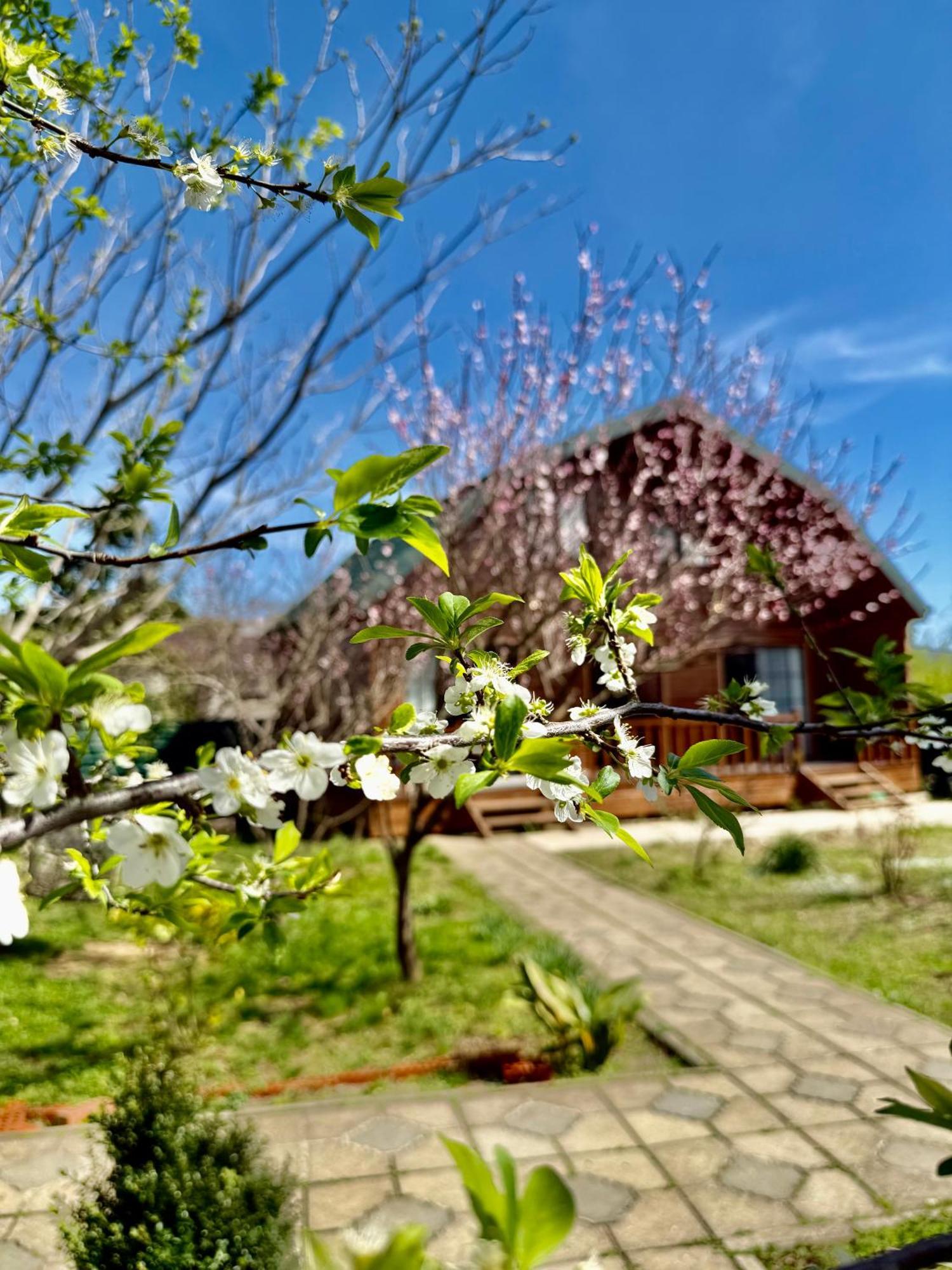 Sweet Village تسكالتوبو المظهر الخارجي الصورة
